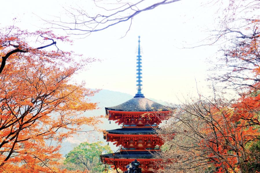 【ぶんか】観音巡礼が始まった奈良県桜井市長谷寺周辺の魅力