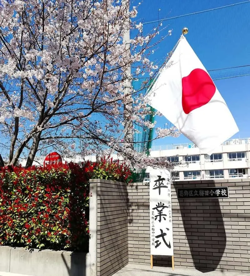 Dấu mốc quan trọng của lá cờ Nhật Bản ngày xưa đến nay